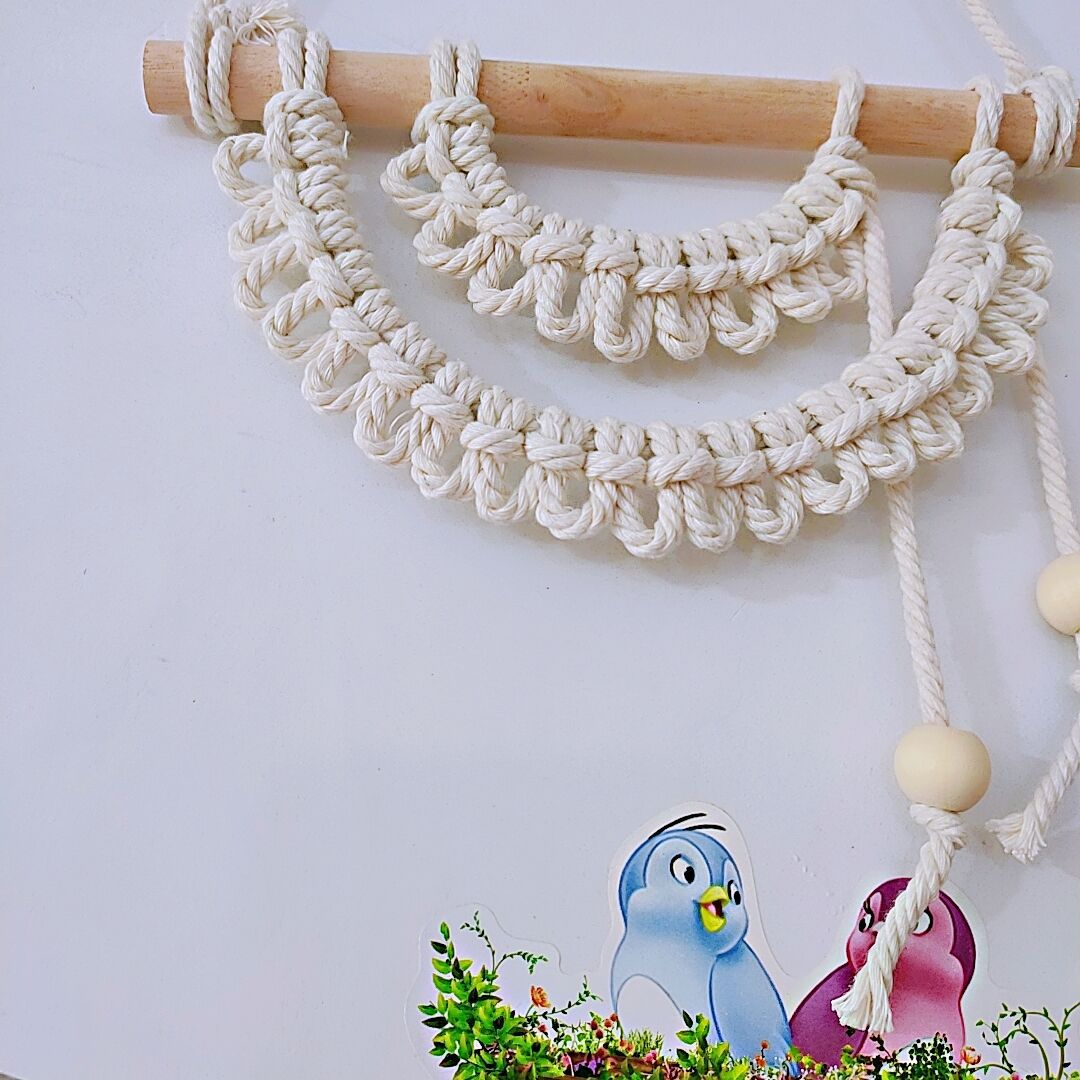 Macramé Wall Hanging Bowlift