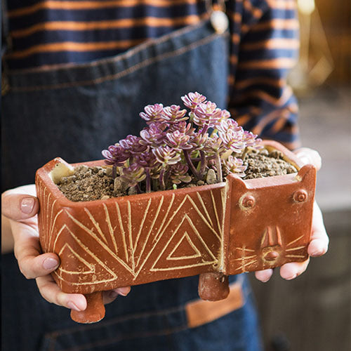 Decorative Plant Bowl Bowlift