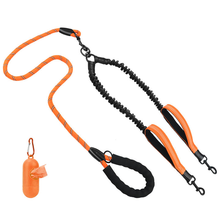 Dog Training Leash