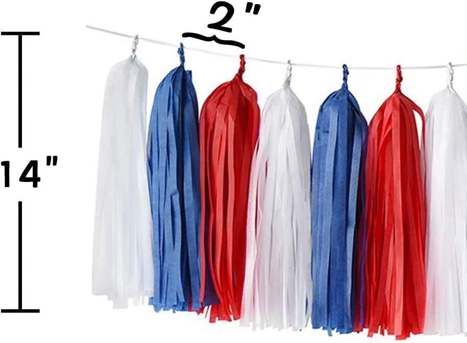 Unisex nan patriotic hanging paper fan and tassel party decoration set Bowlift
