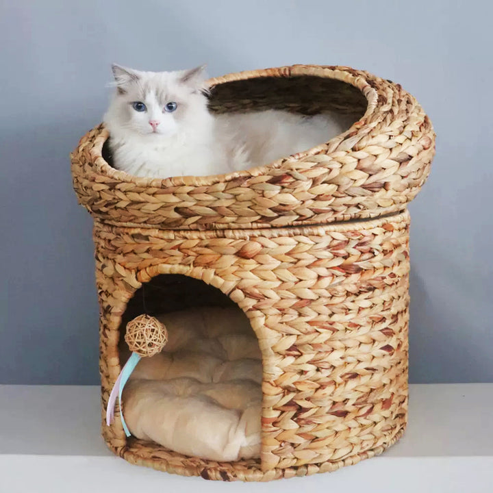 Cozy cat basket with play ball Bowlift