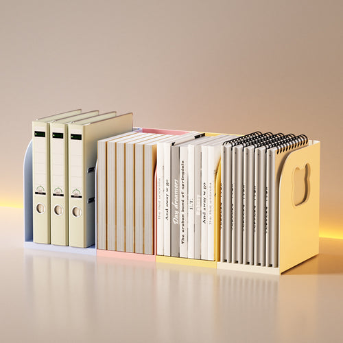 Multi-Compartment Document Organizer