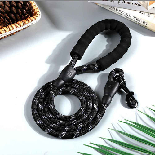 Dog Leash