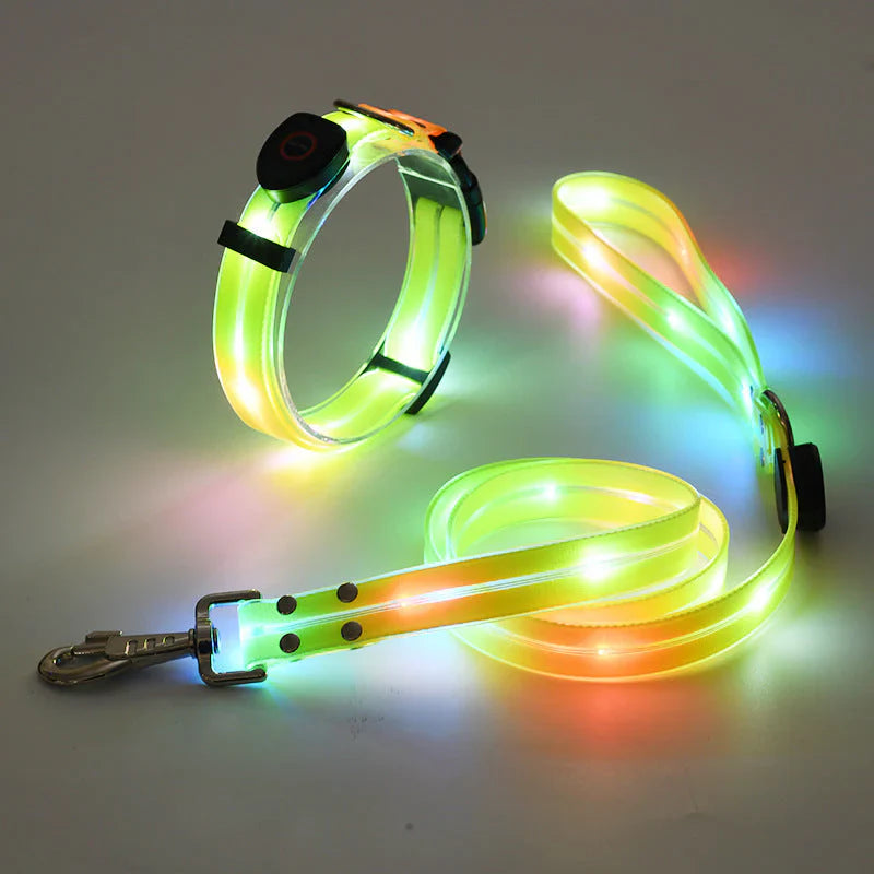 LED Dog Collar with Leash – NightBright Bowlift