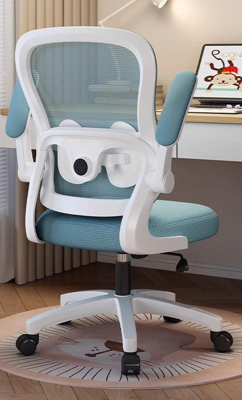 Ergonomic Study Chair Bowlift