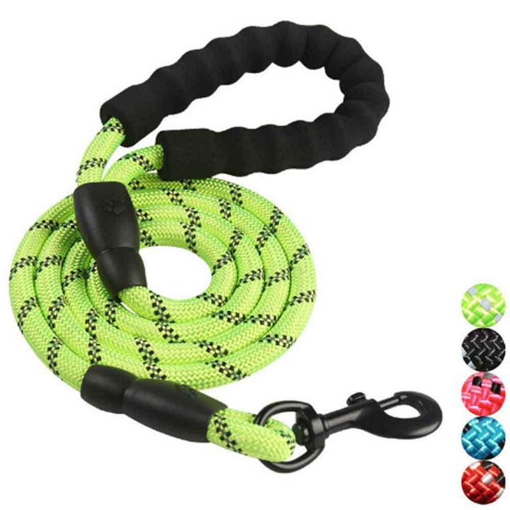 Dog Leash