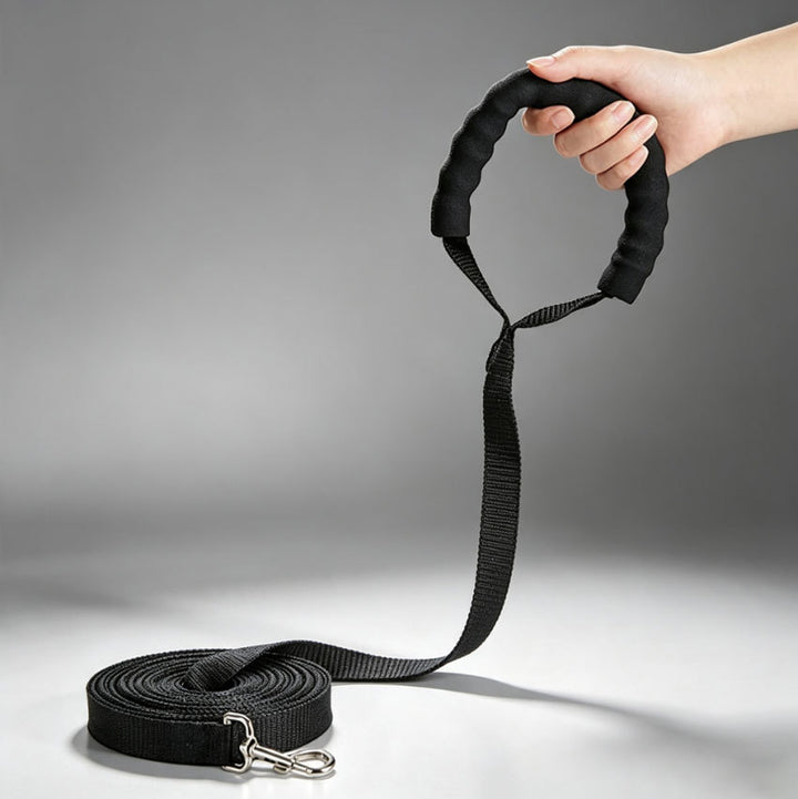 Dog Training