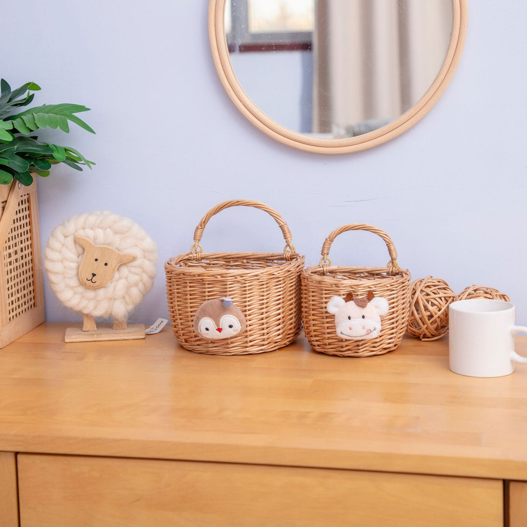 Decorative Handwoven Wall Basket Bowlift