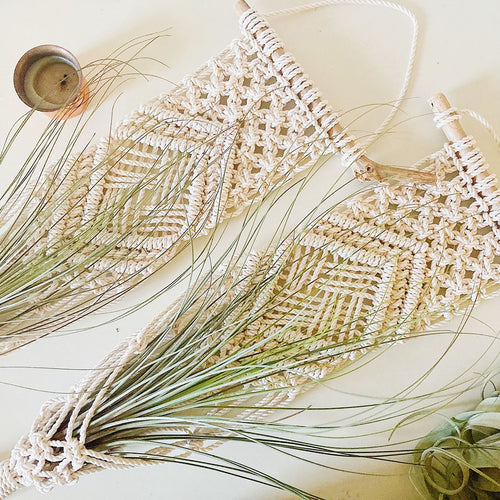 Macrame Wall Hanging Plant Holder Bowlift