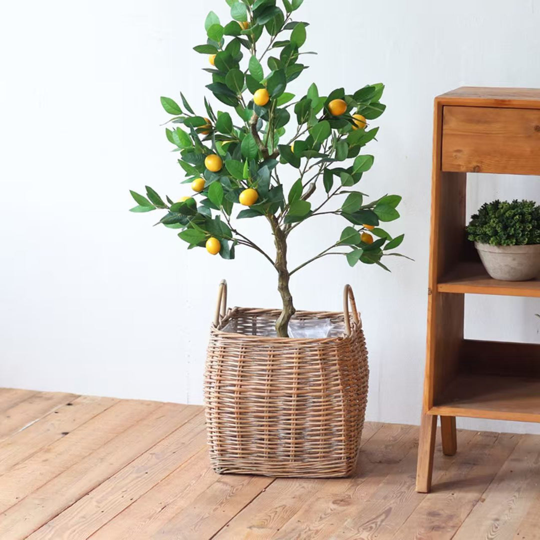 Decorative Basket Bowlift