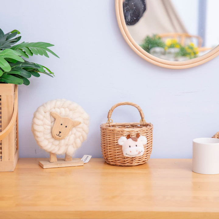 Decorative Handwoven Wall Basket Bowlift