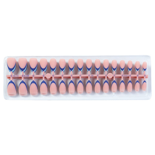 Artistic Ombre French Tip Press-On Nails Bowlift