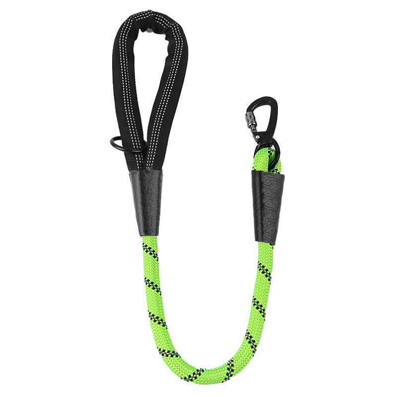 Dog Leash