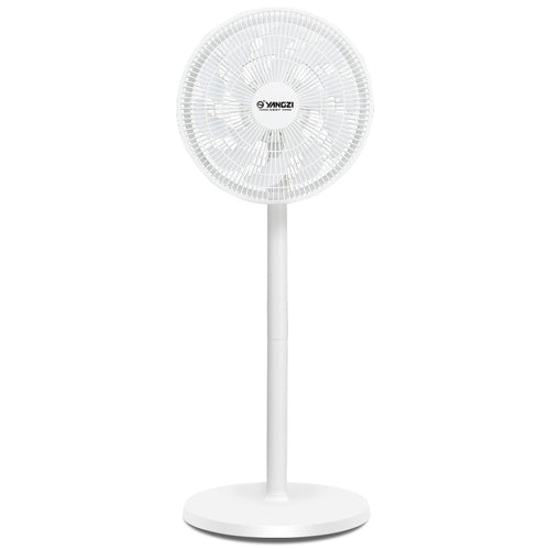 Ladies Stand Fan Bowlift