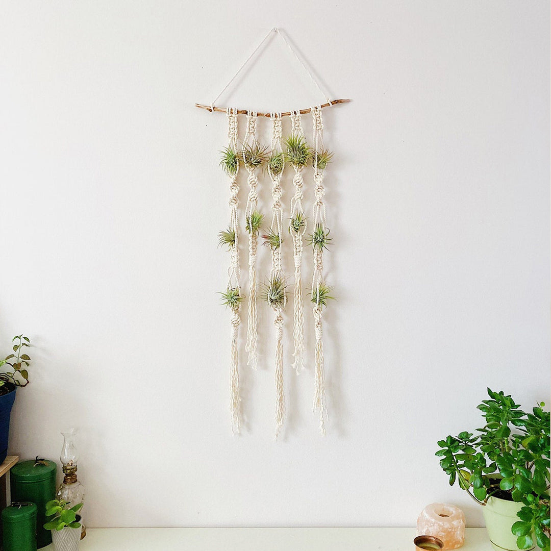 Macrame Plant Wall Hanging Organizer Bowlift