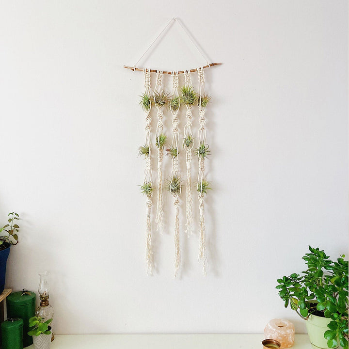 Macrame Plant Wall Hanging Organizer Bowlift