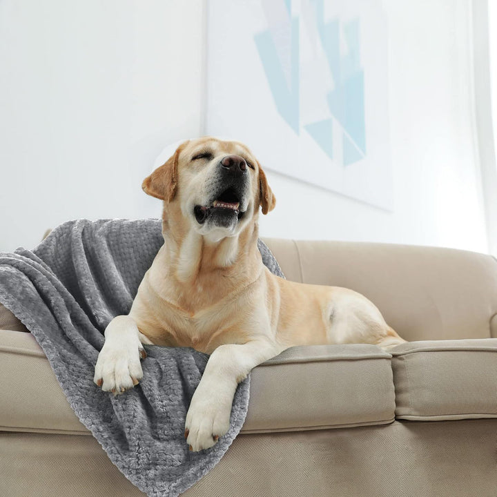 Ultra-Soft Plush Throw Blanket Bowlift