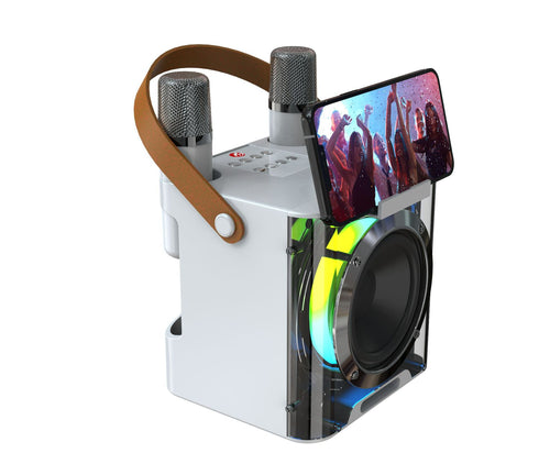Portable Smart Karaoke Speaker Bowlift