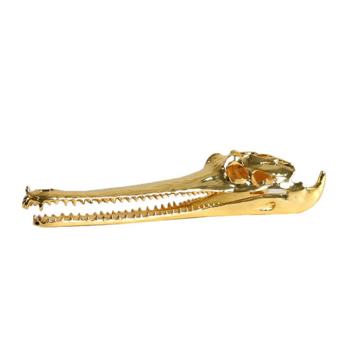 Decorative Crocodile Skull Sculpture