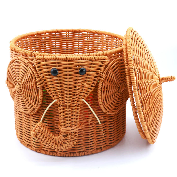 Women's Storage Basket Bowlift
