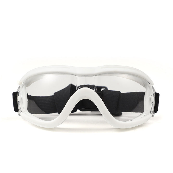 Pet Impact-Resistant Anti-Fog Motorcycle and Ski Protective Goggles Bowlift