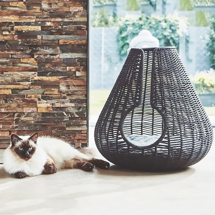Basket with Elegant Design Bowlift