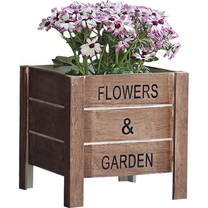 Decorative wooden box for plants Bowlift