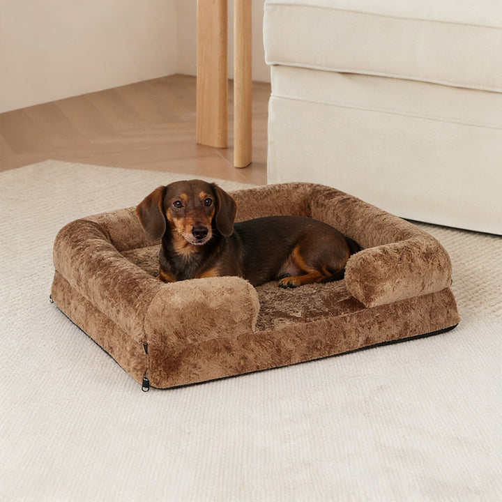 Luxurious Supportive dog Couch