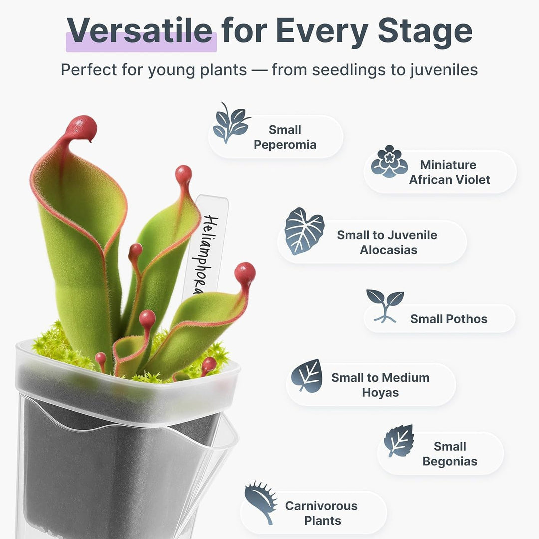 Self-Watering Seed Starter Pot System Bowlift