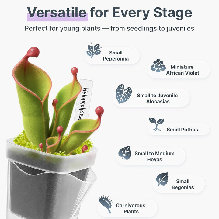 Self-Watering Seed Starter Pot System Bowlift