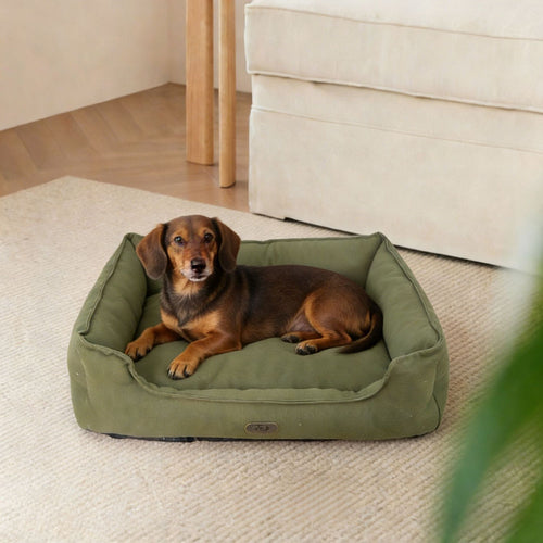 Premium Outdoor dog bed