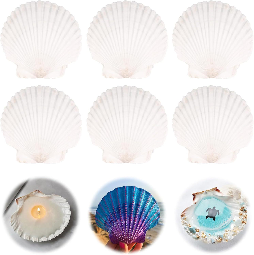 Unisex Creative Craft Set with Shells and Colors Bowlift