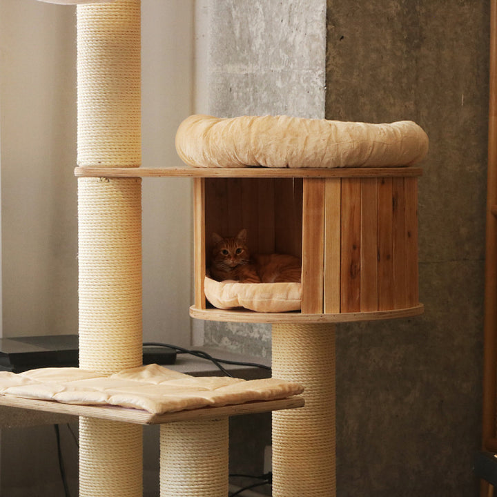 Cozy cat tree with multiple levels Bowlift