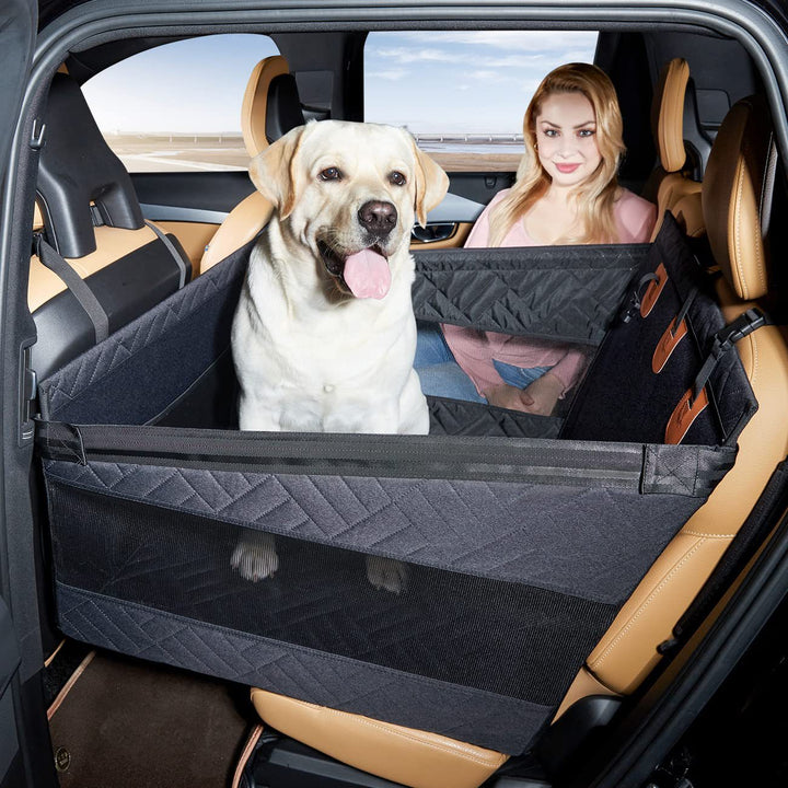Pet Travel Safety