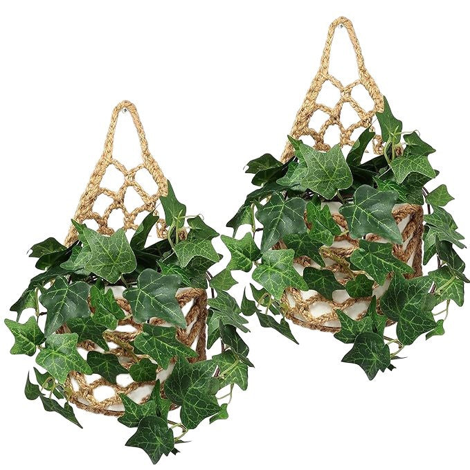 Macrame Plant Hanger Bowlift