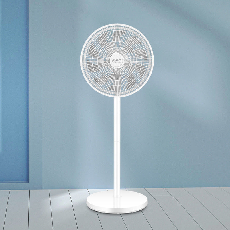Ladies Stand Fan Bowlift