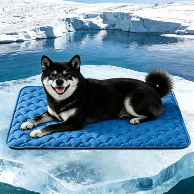 Unisex nan cooling quilted dog mat with non-slip bottom Bowlift