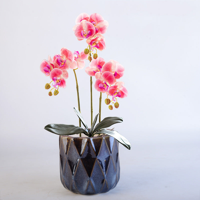 Elegant geometric plant bowl Bowlift