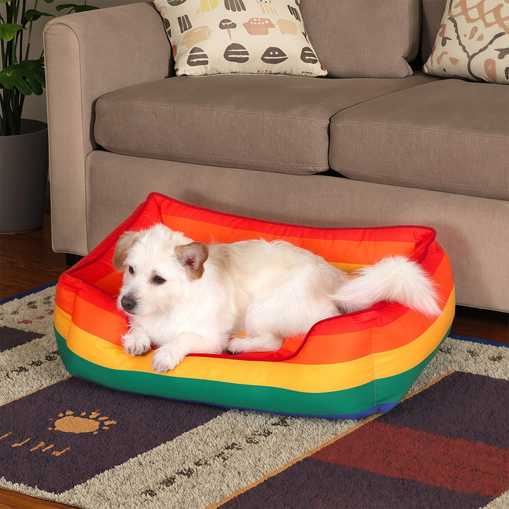 Colorful Dog Bed