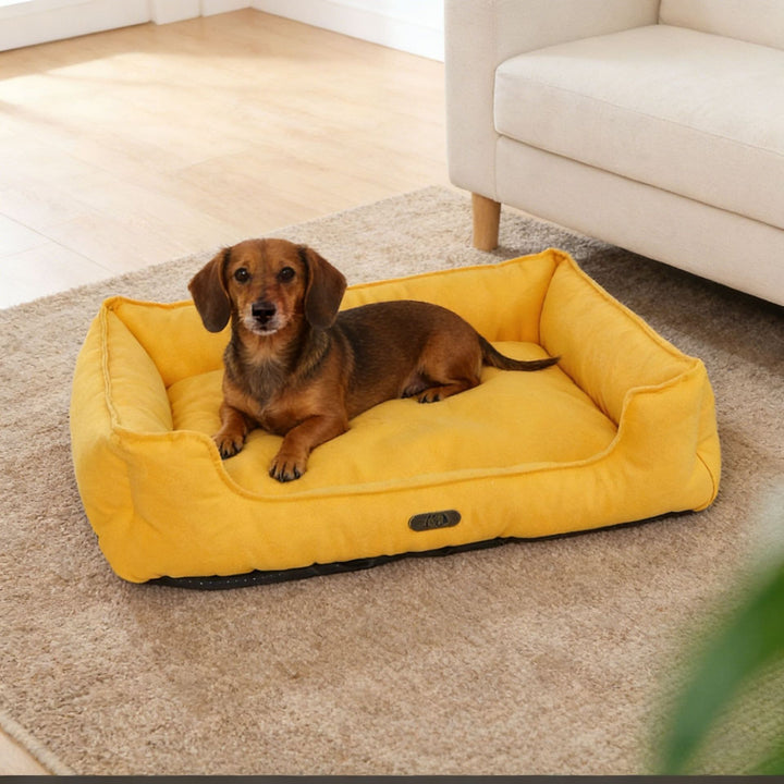 Durable Outdoor dog bed