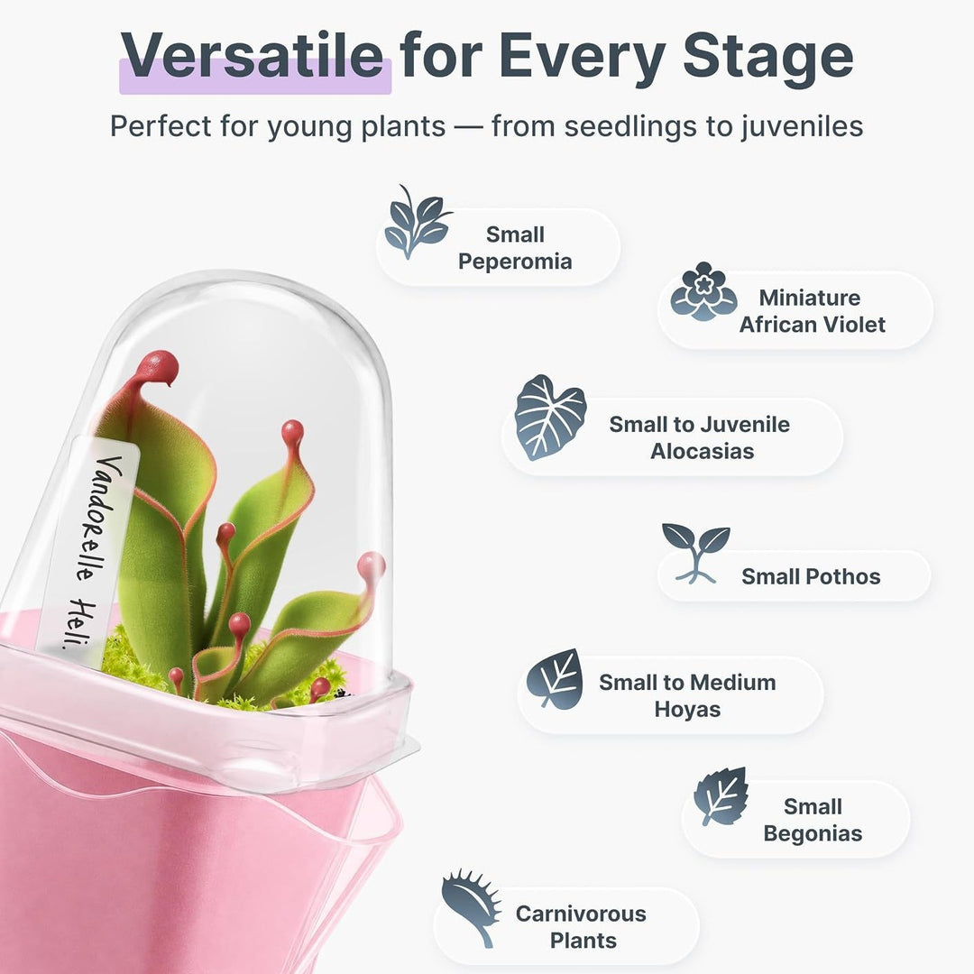 Self-Watering Seed Starter Kit Bowlift