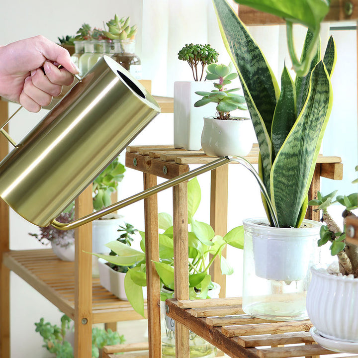 Stylish Stainless Steel Watering Can