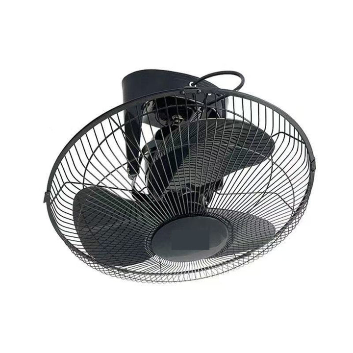 Ladies ceiling fan Bowlift