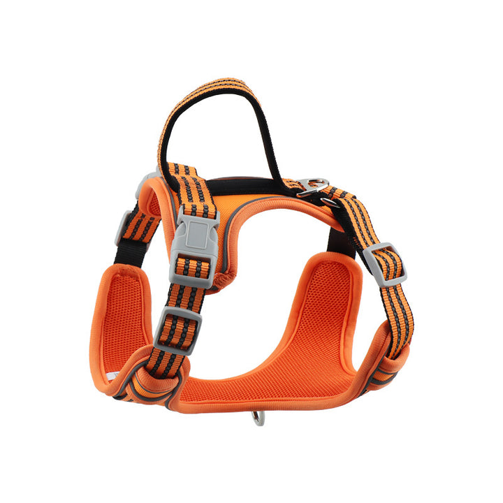 Padded Pet Harness