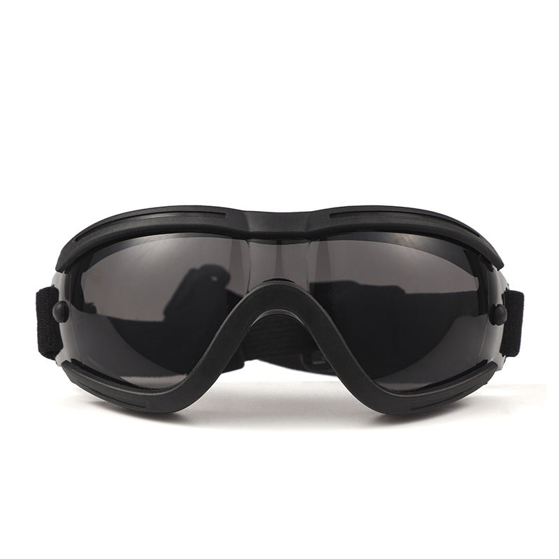 Pet Impact-Resistant Anti-Fog Motorcycle and Ski Protective Goggles Bowlift