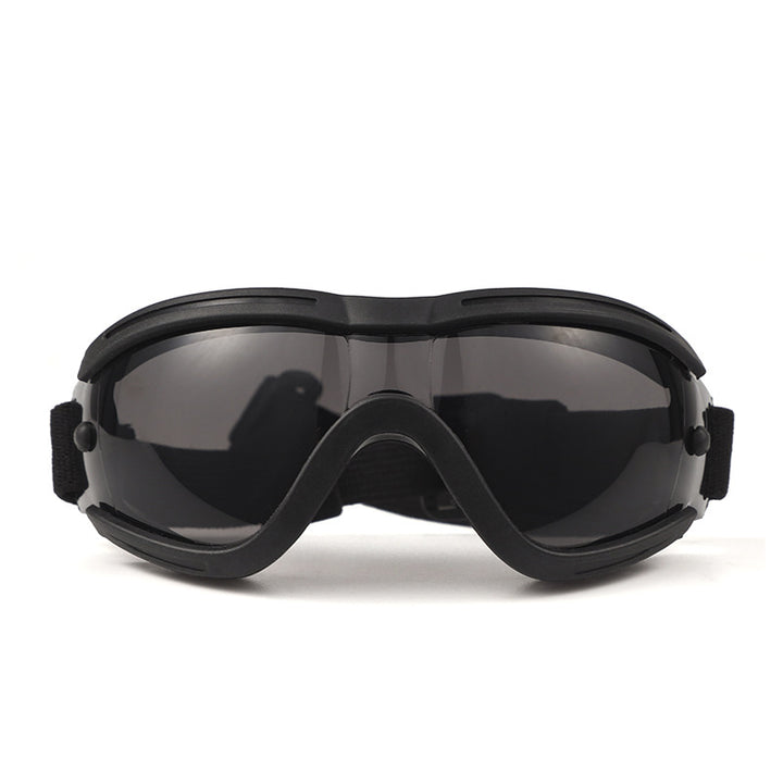 Pet Impact-Resistant Anti-Fog Motorcycle and Ski Protective Goggles Bowlift