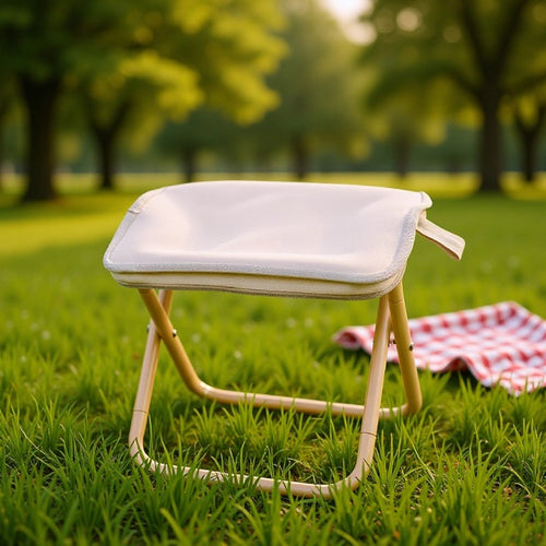 Foldable Stool With Padded Seat Bowlift