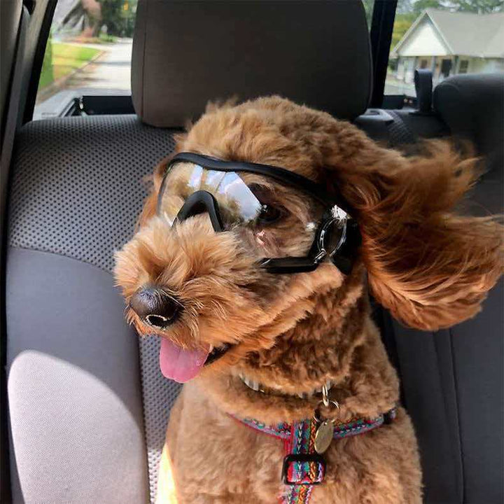 Pet Impact-Resistant Anti-Fog Motorcycle and Ski Protective Goggles Bowlift