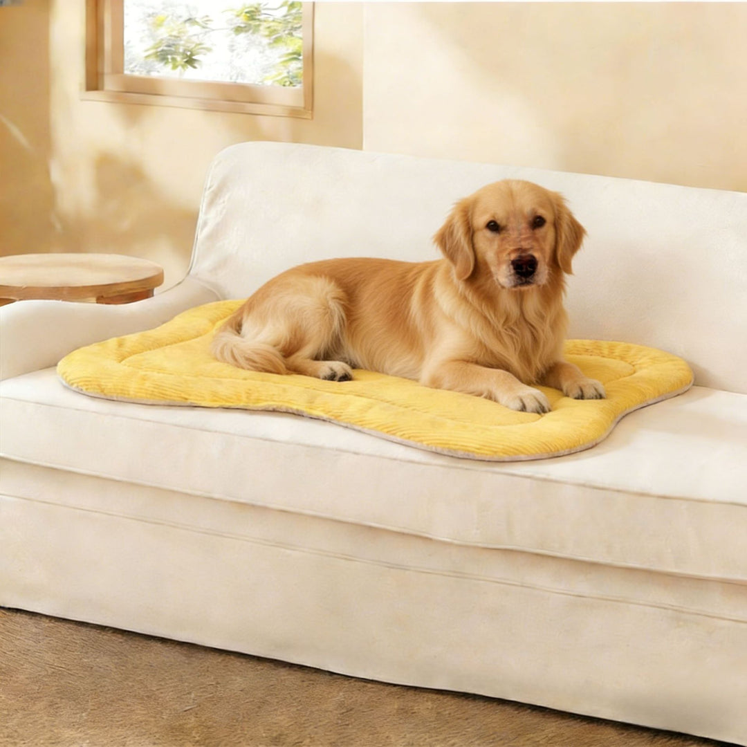 Premium dog Comfort Mat