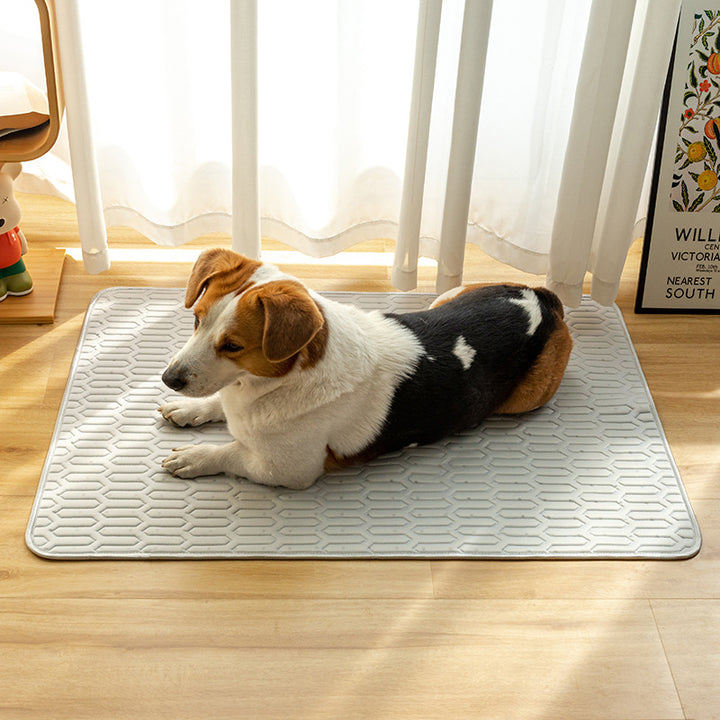 Orthopedic Comfort Dog Mat